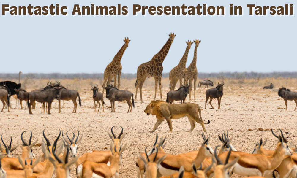 Fantastic Animals Presentation in Tarsali to Grant Record-Breaking ₹40 Lakh in Prizes