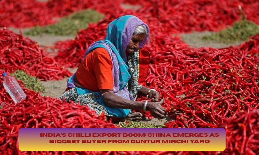 India’s Chilli Export Boom China Emerges as Biggest Buyer from Guntur Mirchi Yard