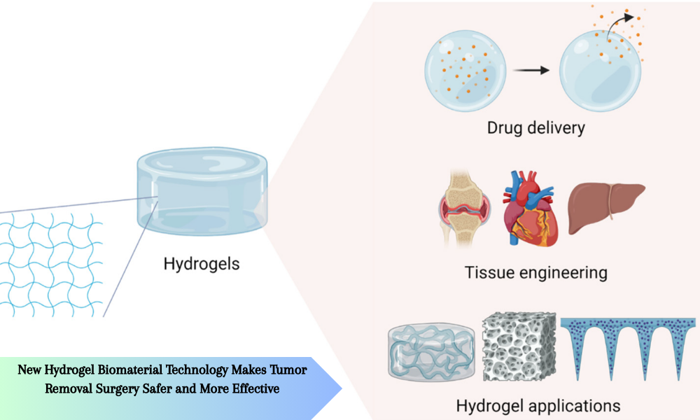 New Hydrogel Biomaterial Technology Makes Tumor Removal Surgery Safer and More Effective
