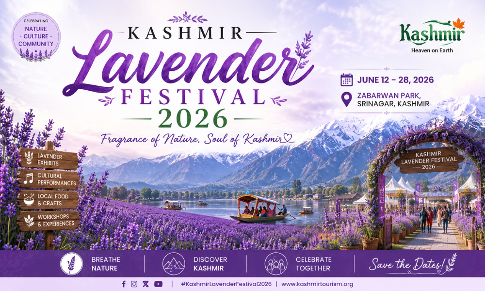 Kashmir Lavender Festival 2026 How Lavender Farming is Increasing Tourism & Farmer Income in India
