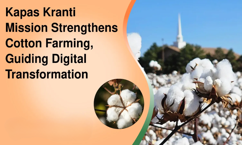 Government Launches Kapas Kranti Mission