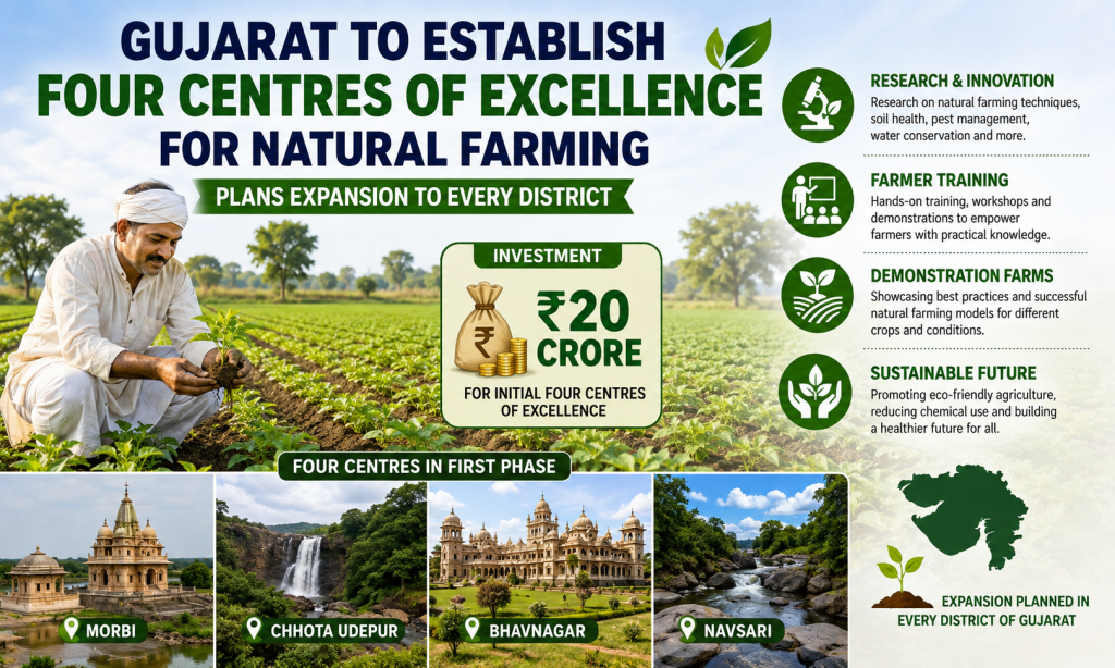 Gujarat to Establish Four Centres of Excellence for Natural Farming, Plans Expansion to Every District