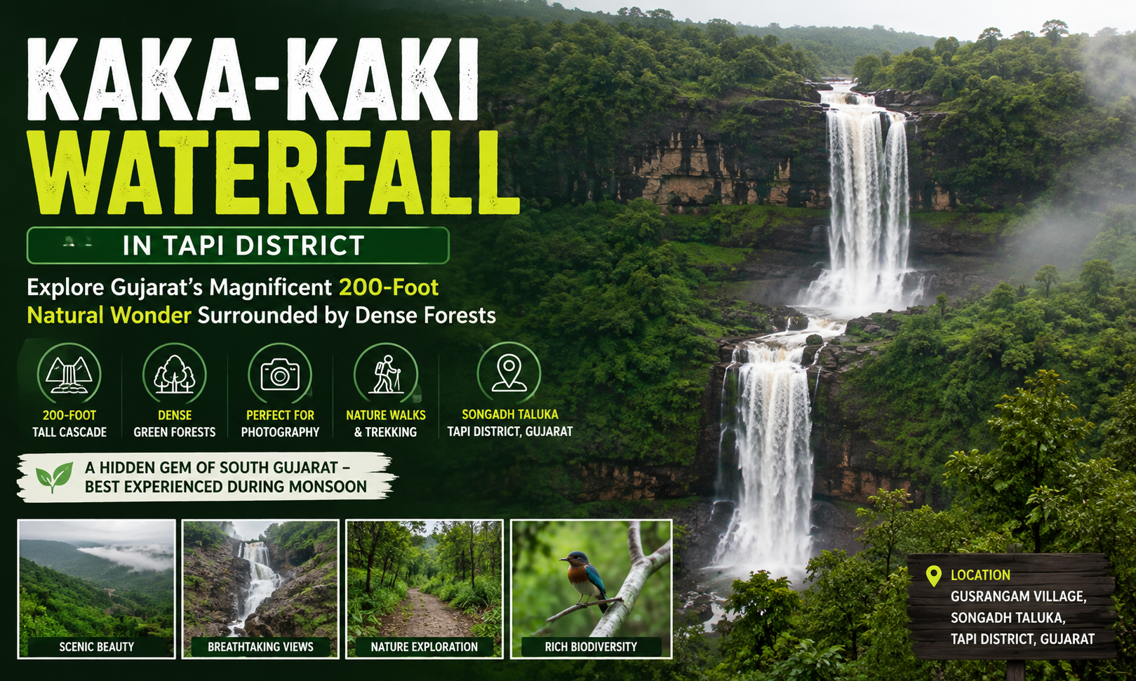 Kaka-Kaki Waterfall in Tapi District Explore Gujarat's Magnificent 200-Foot Natural Wonder
